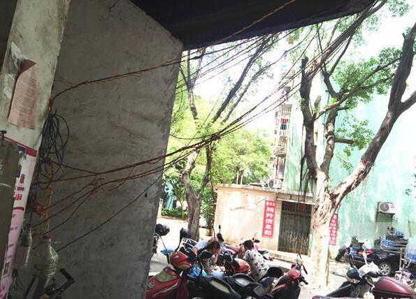 1595560683139957.jpg 15312755666457975.jpg